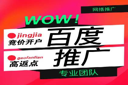 SEM竞价代运营：案例展示精准营销效果