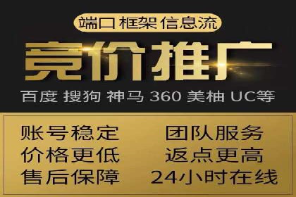 SEM推广案例：打造高效广告投放策略